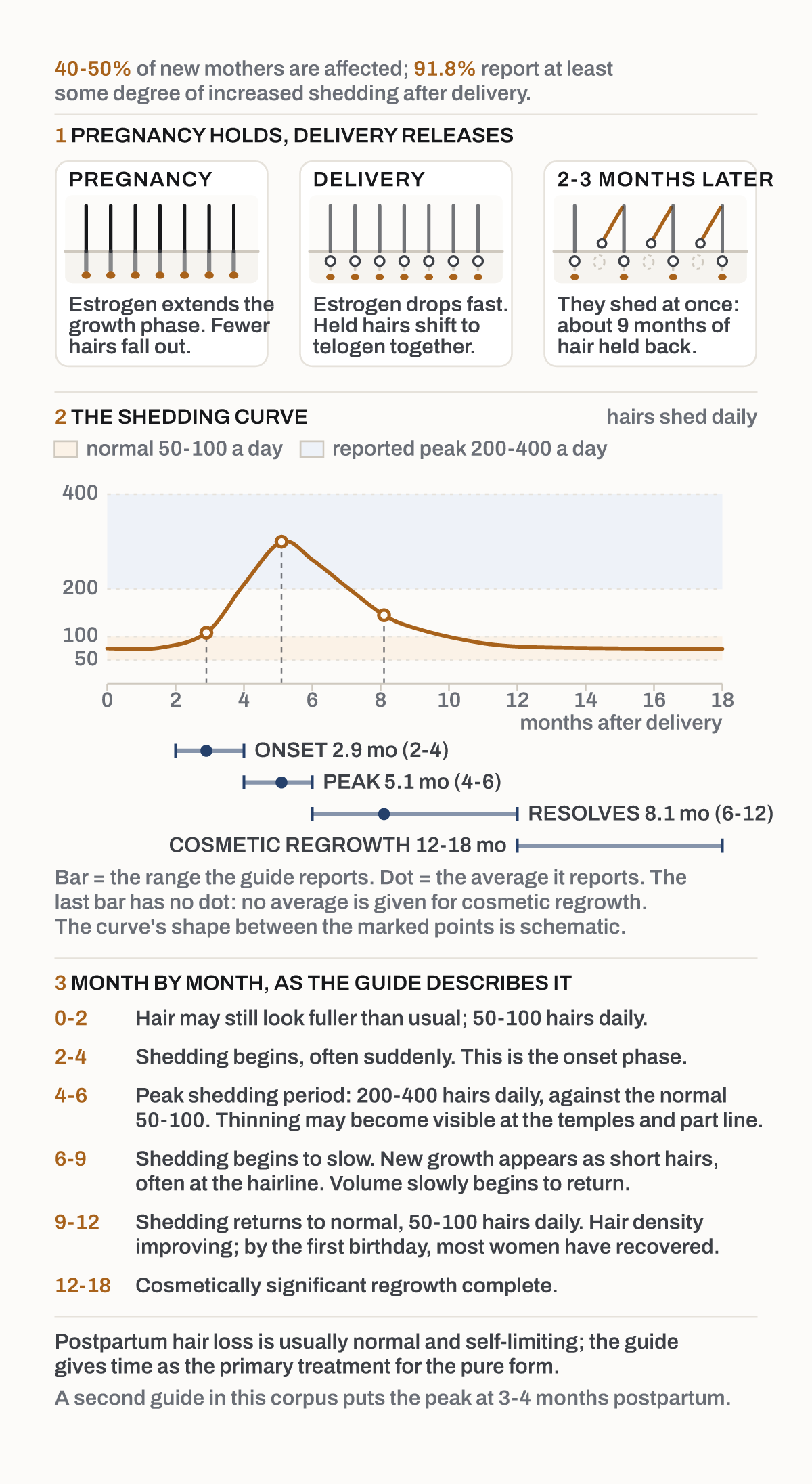 The postpartum shedding curve. Pregnancy holds hairs in the growth phase; after delivery they shift to resting together and shed a few months later, all at once.
